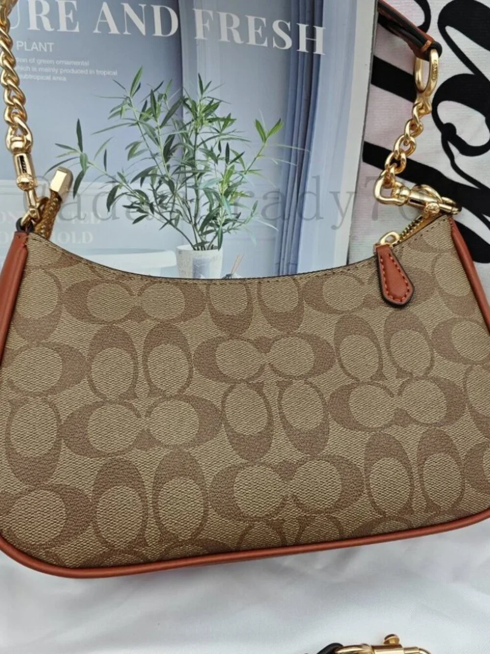 🥁🥁🥁Coach Teri shoulder bag brown - Picture 4 of 9